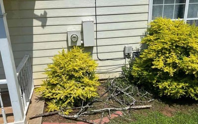 Photo of Sarah B.'s yard after getting landscaping in Buckhead, GA