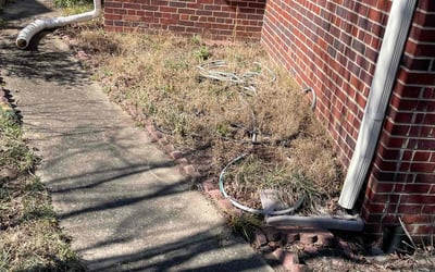 Photo of Paul L.'s yard after getting tree care in Powhatan, VA