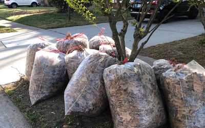 Photo of Christopher T.'s yard after getting landscaping in Port Haywood, VA
