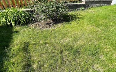 Photo of Donald C.'s yard after getting landscaping in Milaca, MN