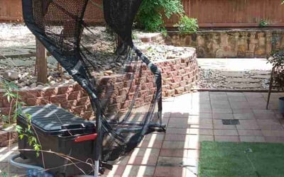 Photo of Shawn L.'s yard after getting landscaping in Forth Worth, TX