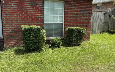 Photo of Justin G.'s yard after getting landscaping in Bagdad, FL