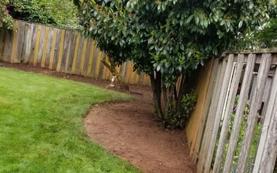 Photo of Doug H.'s yard after getting landscaping in Forest Grove, OR