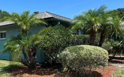Photo of Richard M.'s yard after getting landscaping in Mango, FL