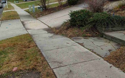 Photo of Mark S.'s yard after getting landscaping in Mount Laurel, NJ