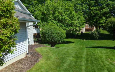 Photo of Jeff G.'s yard after getting landscaping in Greenville, MI