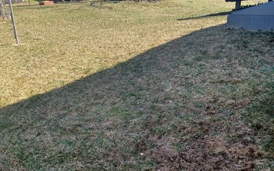 Photo of Moses M.'s yard after getting tree care in Harpers Ferry, WV