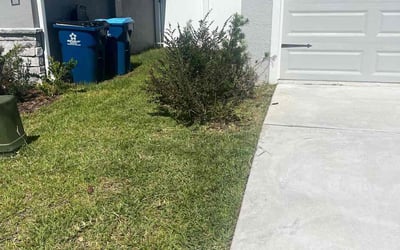 Photo of Dominic S.'s yard after getting landscaping in Eaton Park, FL