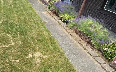 Photo of Daniel S.'s yard after getting landscaping in Rochester, NY