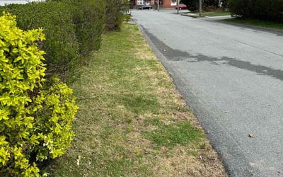 Photo of John C.'s yard after getting landscaping in Rehoboth, MA