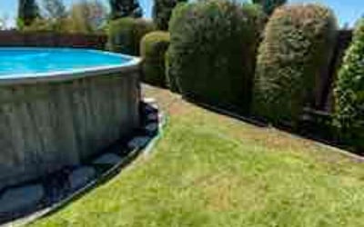 Photo of John C.'s yard after getting landscaping in Martinez, CA