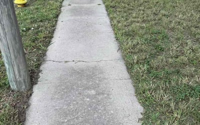 Photo of Mike L.'s yard after getting landscaping in Corpus Christi, TX