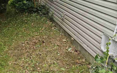 Photo of Sharon Y.'s yard after getting landscaping in Indianapolis, IN