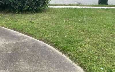 Photo of Brian C.'s yard after getting landscaping in Point Harbor, NC