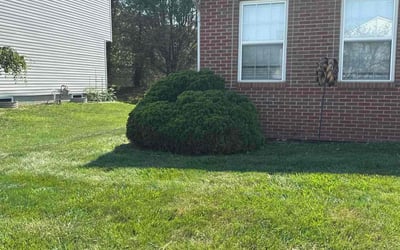 Photo of Jennifer R.'s yard after getting landscaping in Saint Louisville, OH