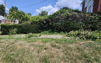 Photo of Matthew J.'s yard after getting tree care in Union, KY