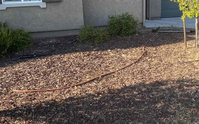 Photo of Lynnette M.'s yard after getting landscaping in Manteca, CA