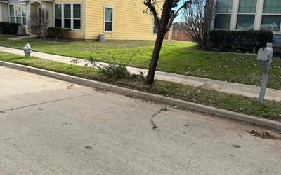 Photo of John G.'s yard after getting landscaping in Milford, TX