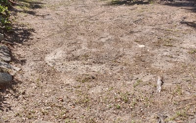 Photo of Sean B.'s yard after getting landscaping in Ponte Vedra, FL