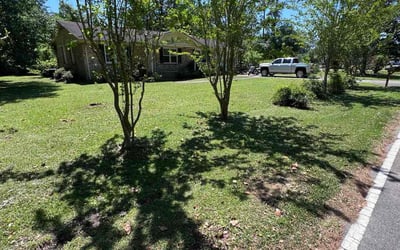 Photo of Cheryl O.'s yard after getting lawn care in Conway, SC