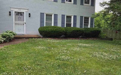 Photo of Nikki C.'s yard after getting landscaping in Bolingbrook, IL