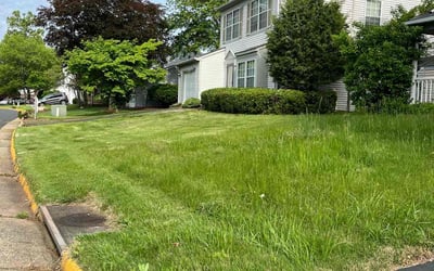 Photo of Greg S.'s yard after getting landscaping in Brandy Station, VA