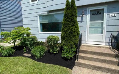 Photo of Kelly M.'s yard after getting landscaping in Buffalo, NY
