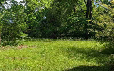 Photo of Kristen L.'s yard after getting landscaping in Mauldin, SC