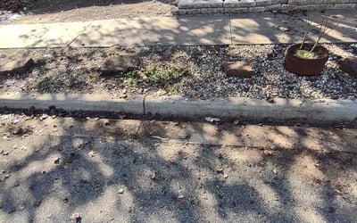 Photo of Janelle P.'s yard after getting landscaping in Mc Dade, TX