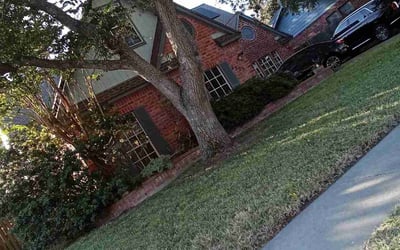 Photo of Anissa H.'s yard after getting landscaping in Corpus Christi, TX