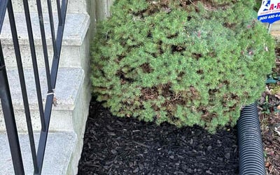 Photo of Ashley W.'s yard after getting landscaping in Partlow, VA