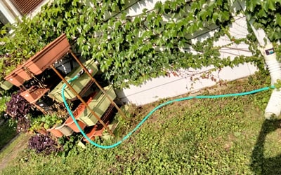 Photo of Ted B.'s yard after getting landscaping in Woodstock, IL