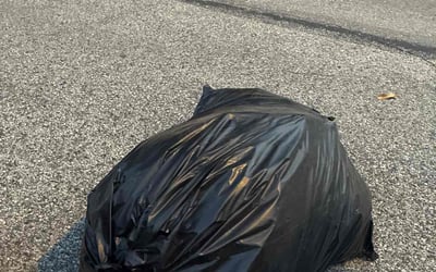 Photo of Carla S.'s yard after getting tree care in Philadelphia, PA