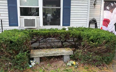 Photo of Lisa T.'s yard after getting landscaping in Hollis, NH