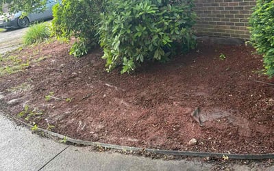 Photo of Sara P.'s yard after getting landscaping in Greenville, PA