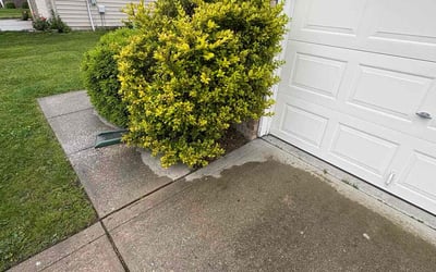 Photo of Jessica W.'s yard after getting landscaping in Elwood, IN