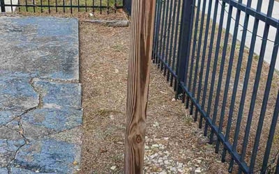 Photo of Thomas R.'s yard after getting landscaping in Immokalee, FL