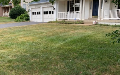 Photo of Diane D.'s yard after getting landscaping in Occoquan, VA