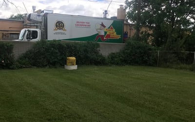 Photo of Rahni J.'s yard after getting landscaping in Romeo, MI