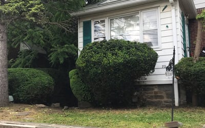 Photo of Andrew A.'s yard after getting landscaping in Sharon Hill, PA