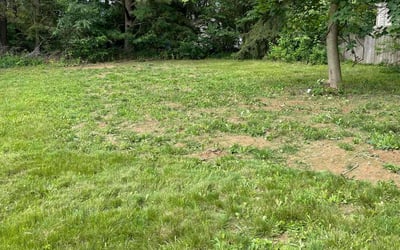 Photo of Teresa S.'s yard after getting landscaping in Akron, OH