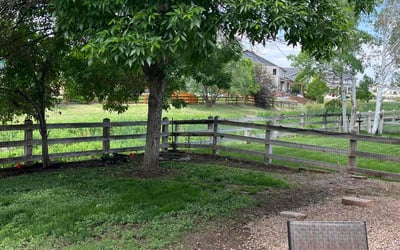 Photo of Gail M.'s yard after getting landscaping in Commerce City, CO