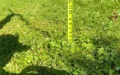 Photo of Richard K.'s yard after getting landscaping in Saint Francis, MN