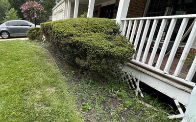 Photo of Sarah P.'s yard after getting landscaping in Springfield, VA