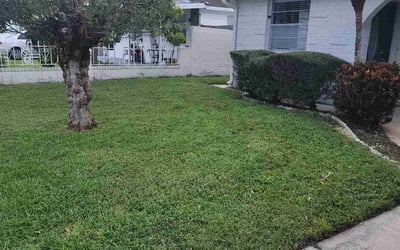 Photo of Derek C.'s yard after getting landscaping in Nobleton, FL