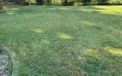 Photo of Emily W.'s yard after getting landscaping in Cabin John, MD