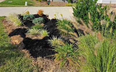 Photo of Precious J.'s yard after getting landscaping in Prince Frederick, MD