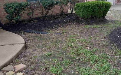 Photo of Jack E.'s yard after getting tree care in Tomball, TX