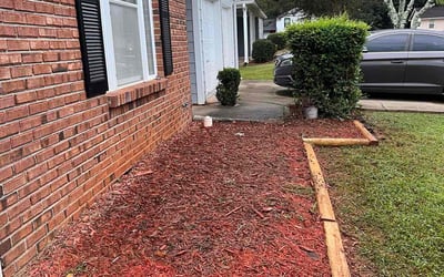 Photo of Dylan M.'s yard after getting landscaping in Moreland, GA