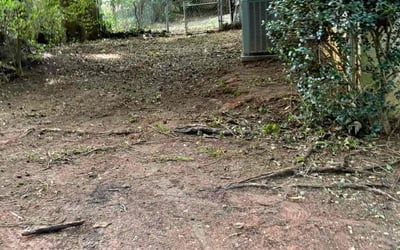 Photo of Nicole J.'s yard after getting landscaping in Stockbridge, GA